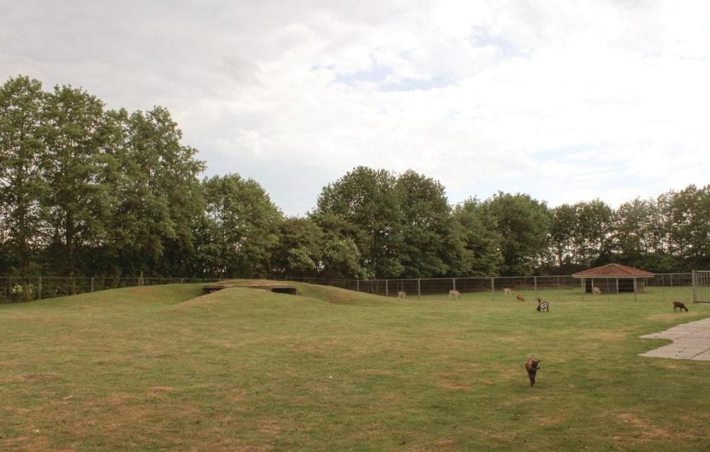 Het Familie Boshuisje - Vakantiewoning Op Prachtig Park Met Veel Faciliteiten Inc Ligbad Gramsbergen Esterno foto